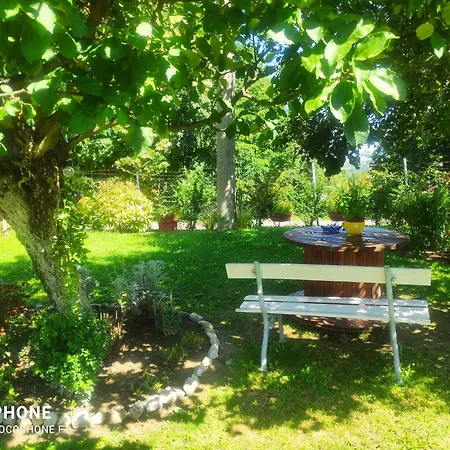 Harmonija - Jasenica Valjevo