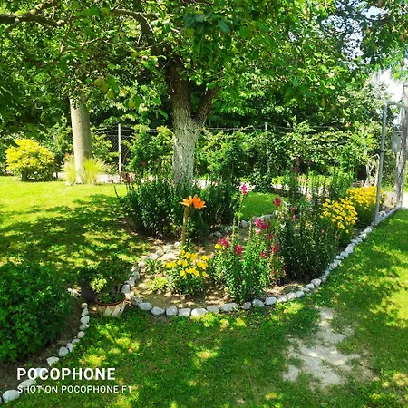 Harmonija - Jasenica *