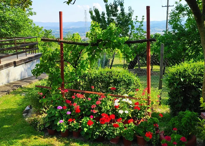 Harmonija - Jasenica Nyaraló *